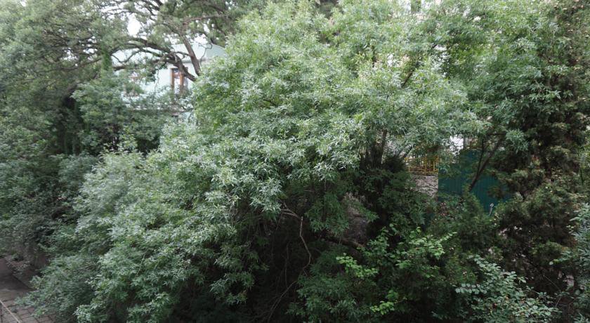 Гостиница Ялтинский городской пансионат Ялта-9